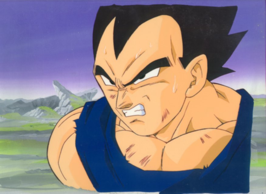 celvegeta.jpg