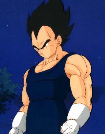 highvegeta04.jpg
