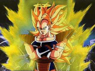 highvegeta04.jpg