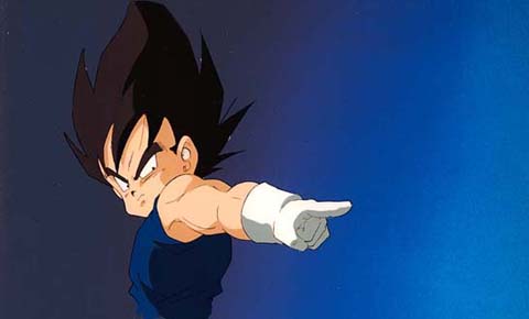 highvegeta04.jpg