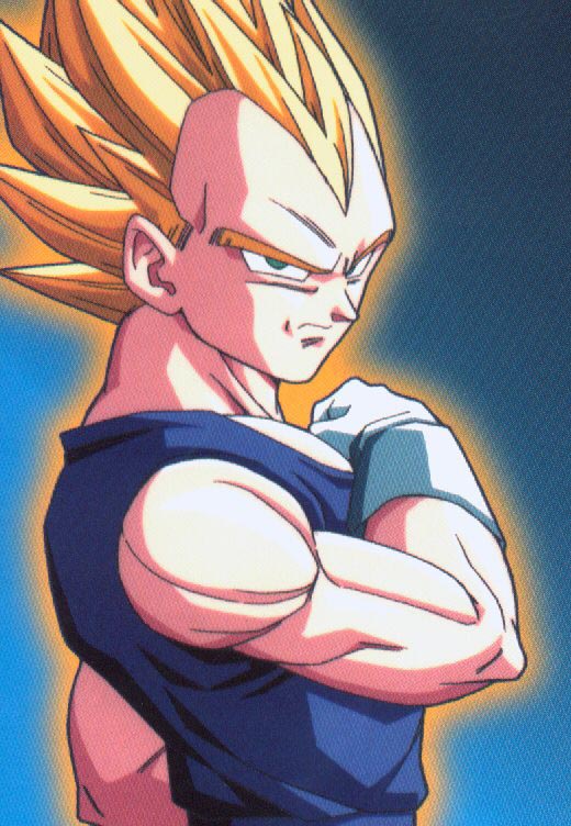 highvegeta04.jpg