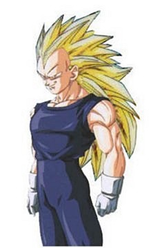 highvegeta04.jpg